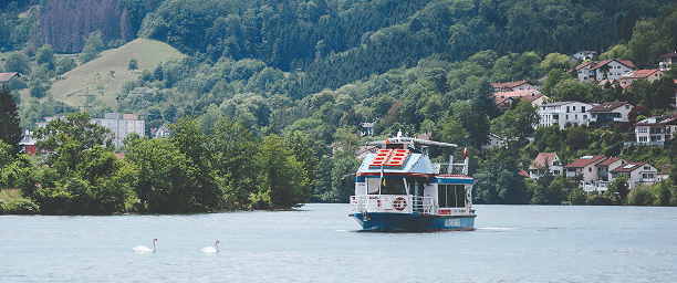 Ein Ausflugsschiff fährt auf einem See, während zwei Schwäne im Wasser schwimmen und grüne Hügel im Hintergrund zu se...
