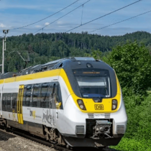 Ein moderner Zug der Deutschen Bahn fährt durch eine grüne, bewaldete Landschaft unter blauem Himmel.