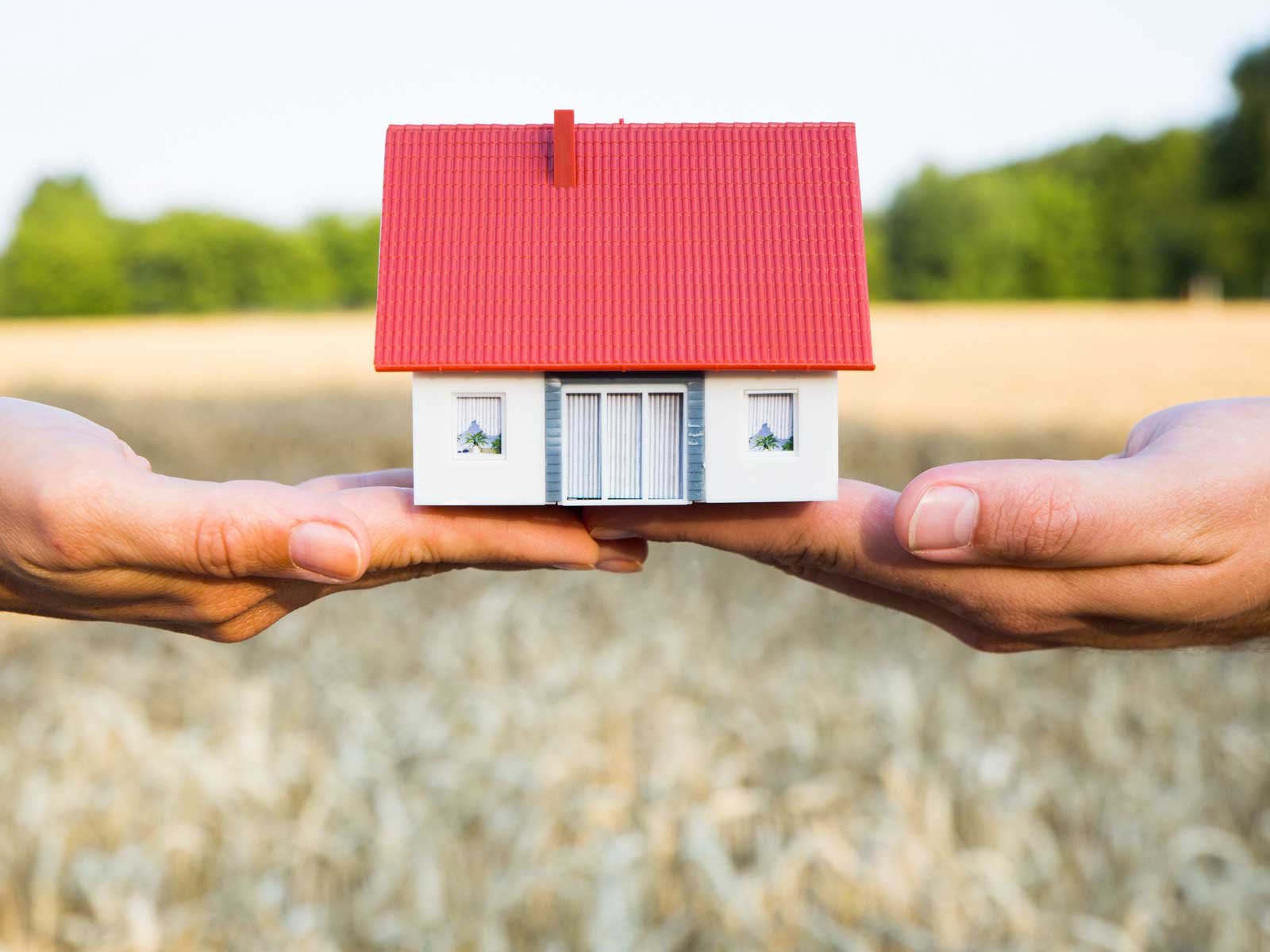 Zwei Hände halten ein Miniaturhaus über einem Weizenfeld im Hintergrund.