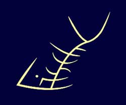 Ein stilisierter Fischskellet, leuchtend gelb auf dunklem Hintergrund.