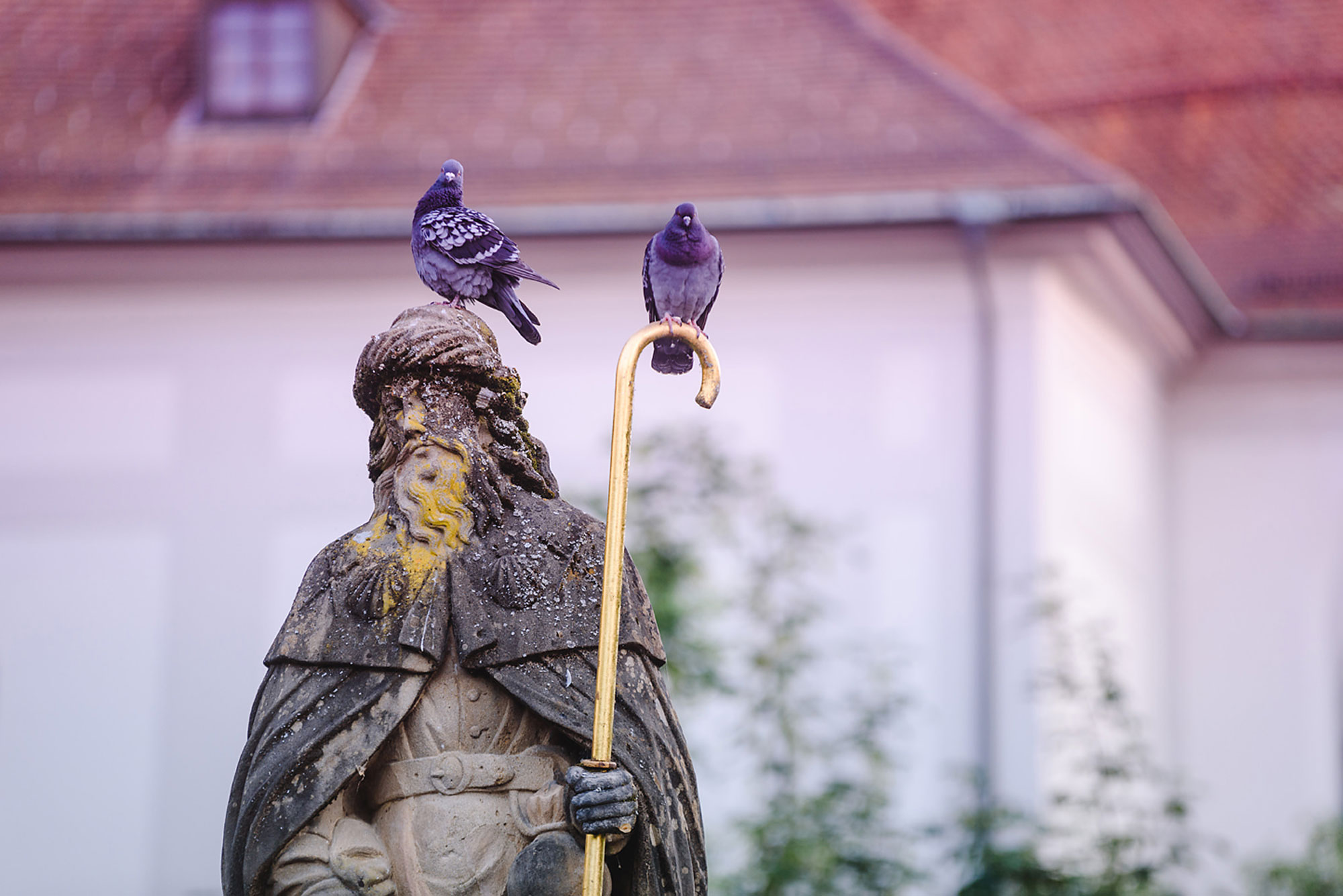Eine Statue mit Bart und Stab, auf der zwei Tauben sitzen, vor uneinheitlichem Hintergrund.